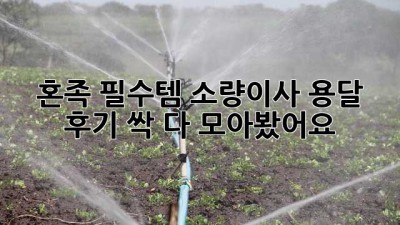 📦 혼족 필수템! 소량이사 용달 후기 싹 다 모아봤어요! 🚚💨