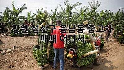 창원 성산구 웅남동 중고차 매매, 어디서?